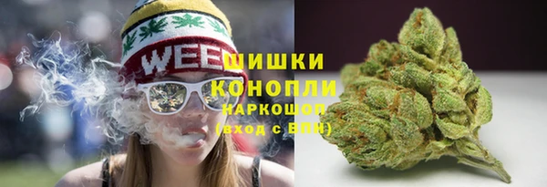 сатива Абдулино