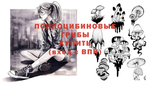 бошки Абинск