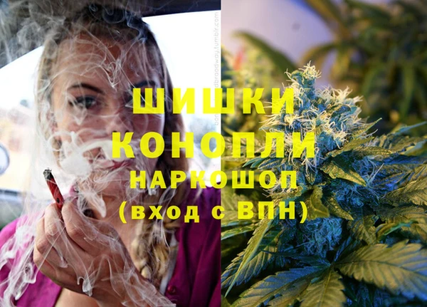 сатива Абдулино