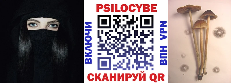 закладка Нижняя Тура Галлюциногенные грибы Cubensis